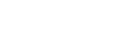 Fastwave - logo